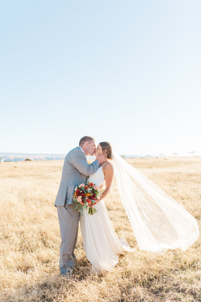 bride and groom sharing a kiss in a field 