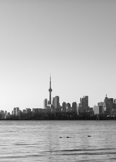 Black and white image of the Toronto skyline