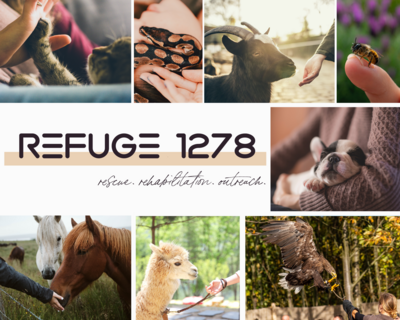 refuge 1278 collage