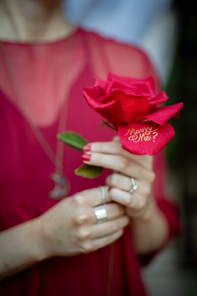 Paper rose for proposal