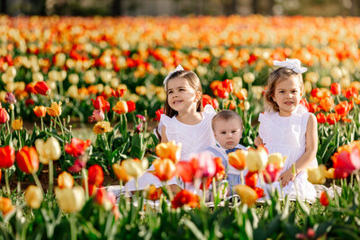 best NW Arkansas photographer, NWA portrait photography, Northwest Arkansas photography