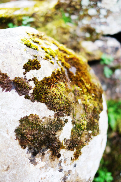 jacqueline_campbell_barcelona_spain_014