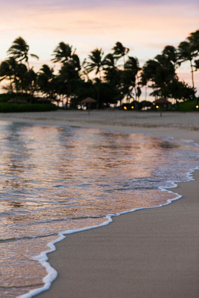 A tranquil beach scene at sunset unfolds, with gentle waves washing onto the sand and palm trees silhouetted against a sky painted in soft pinks and purples. Discover this serene escape at https://epicsandstravel.com/about, where the breeze carries dreams of tranquil shores.