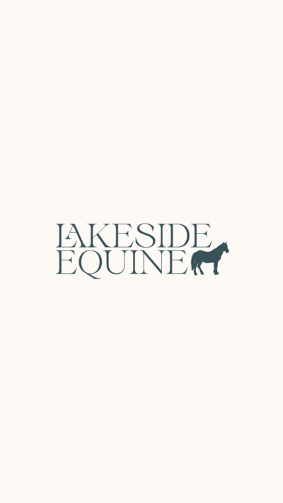 LAKESIDE EQUINE ESTATE (Instagram Reel Cover) (5)