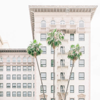 Hotel and palm trees