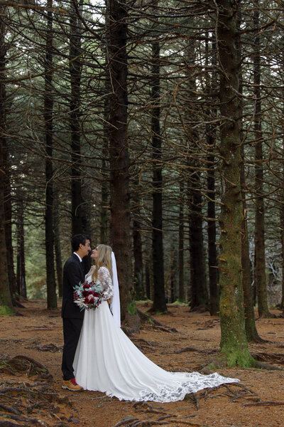 Blue Ridge Parkway elopement in the fall.