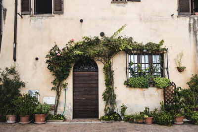Beautiful Tuscan door with vines