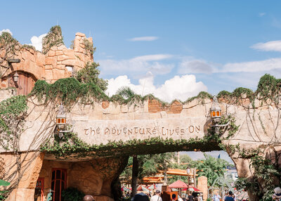 Universal Stock Photos-45