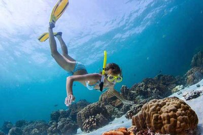 A girl snorkeling and diving under crystal clear turquoise water to look at coral