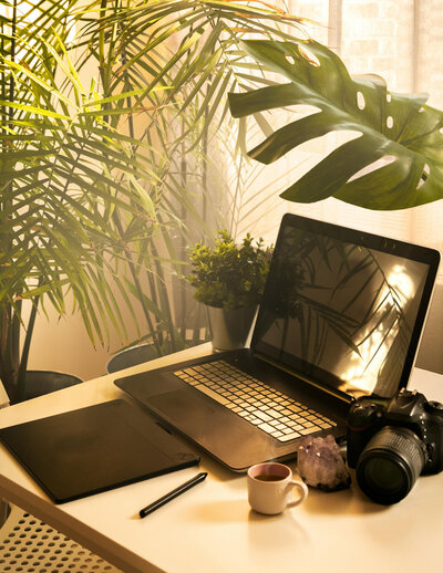 An open laptop on a desk surrounded by plants with sun shining through a window