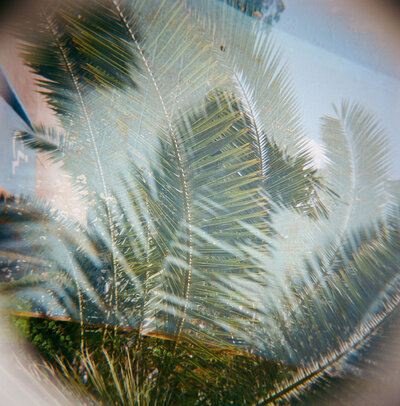 film-168