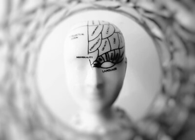 B&W 3-D model of a person's head with functions like "language" and "individuality" labeled.