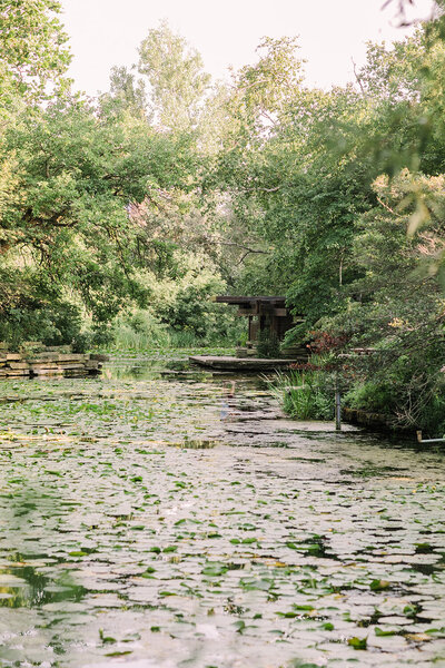 This serene oasis is a magical place for wedding portraits in Lincoln Park.