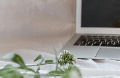 Open laptop with a plant nearby, representing personality assessments in Deme Riley’s coaching process.