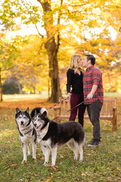 Engagement Photos with dogs at Ashland the Henry Clay Estate in Lexington, Kentucky