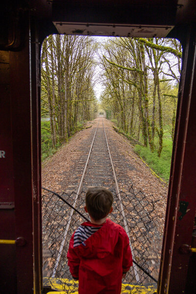Boy Train Ride Tracks Fall Leaves Autumn