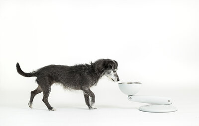 pet-product-photography-bowl