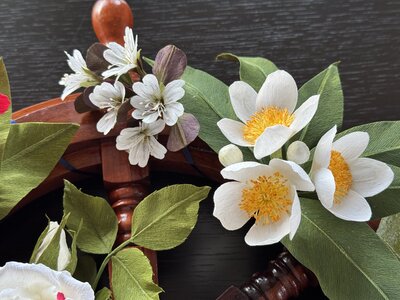 Critically endangered flora from Ogasawara and Shetland