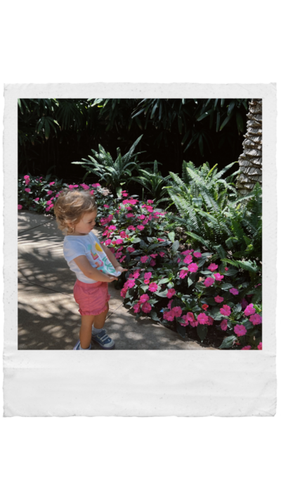 Branding image taken in North Vancouver