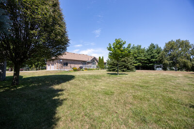 7 Virtue rear (7)