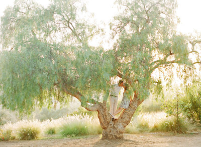 in_a_tree_engagement
