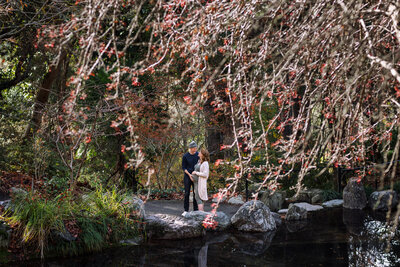 pregnant couple surrounded by greenery in  berkeley botanical gardens