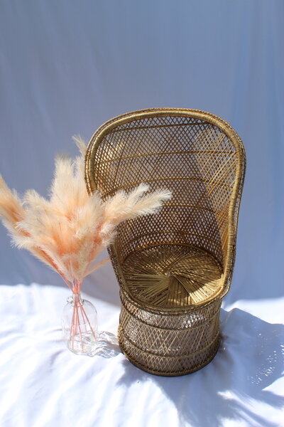 wicker for rent manitoba