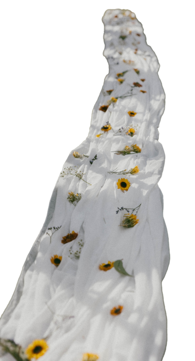 floral tule wedding aisle with diasies