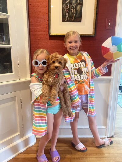 Maltipoo Puppy travels