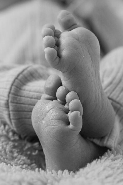CWL_1367-2