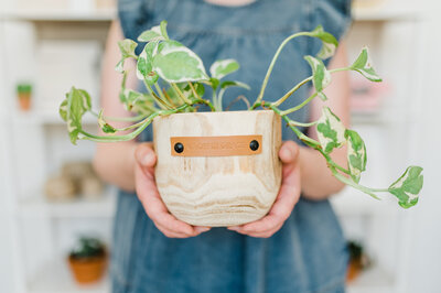 A woman holding a potted plant