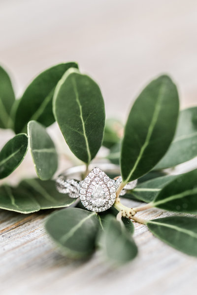 allison_cody_engaged-0094