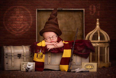 Harry Potter photography session  for newborns in Kansas City.  Perfect for families searching for creative Kansas City baby photographers.