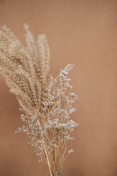 laurice-manaligod-q1uiITCnFfY-unsplash