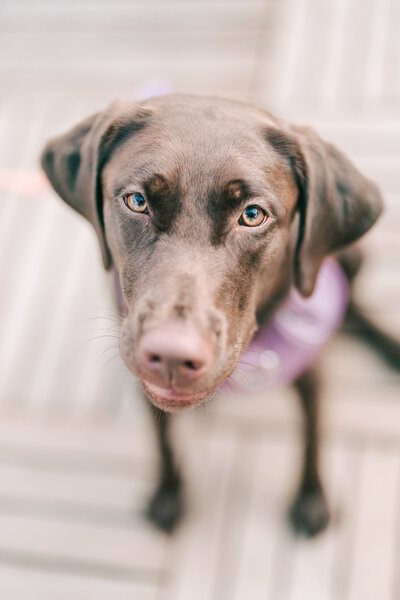 A private moment during their Clarks Landing Yacht Club wedding held in Point Pleasant NJ