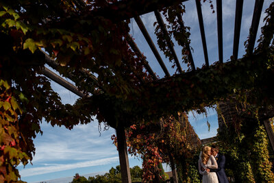 Bride and groom intimate moment under rustic wooden arbor surrounded by lush vineyard landscape at Estate Yountville wedding venue, San Francisco wedding photography