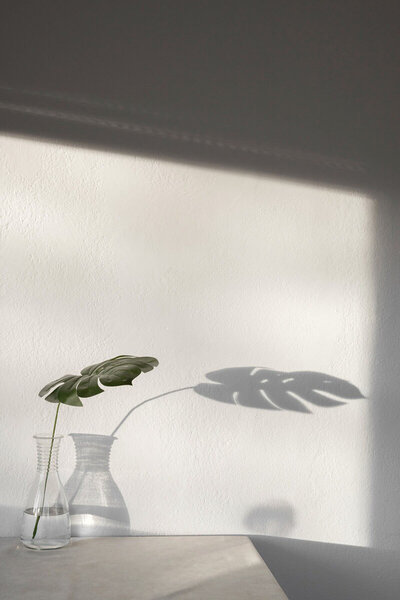 Shadow photo showing showit designer for photographers, Palme Design Co