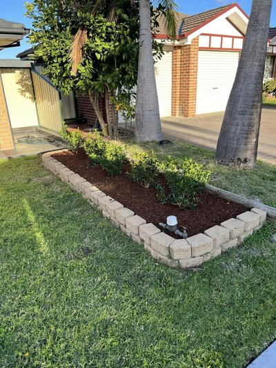 Sydney Hedging Penrith