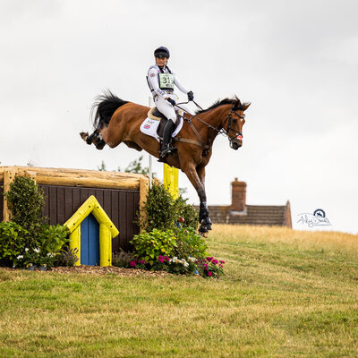 horse jumping drop fence