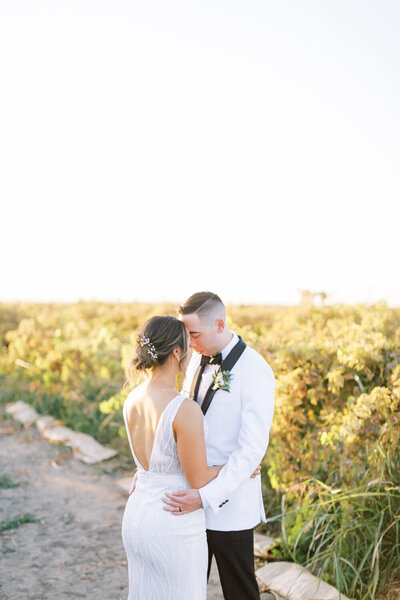 bride and groom embracing in vineyard at sunset