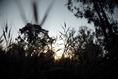 Grampians-elopement-photography6