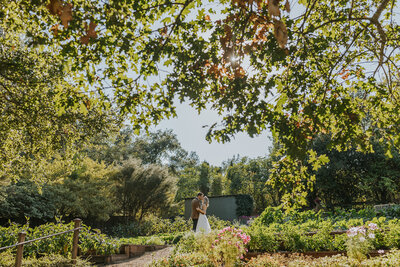 rebecca skidgel photography madrona manor healdsburg wedding photographer bride groom kissing in gardens