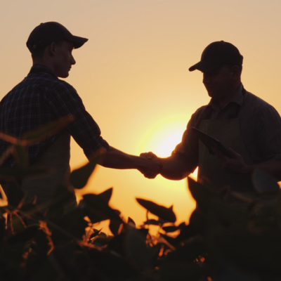 Two men shaking hands with sunset behind them.