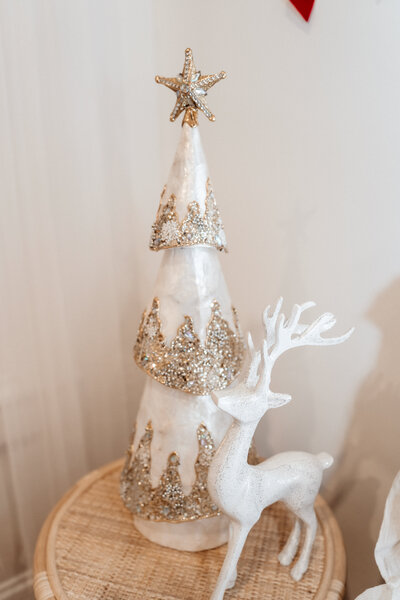 atelier photography studio delaware ohio15