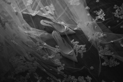 A&Cpreview-3