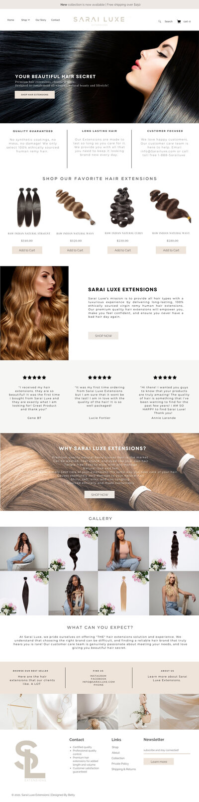 Shopify website Templates