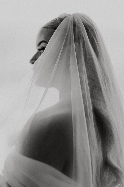 Perfect Wedding Photographer