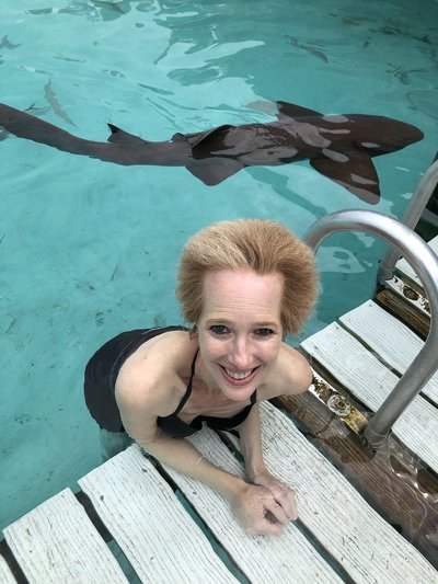 Swimming with Sharks 1