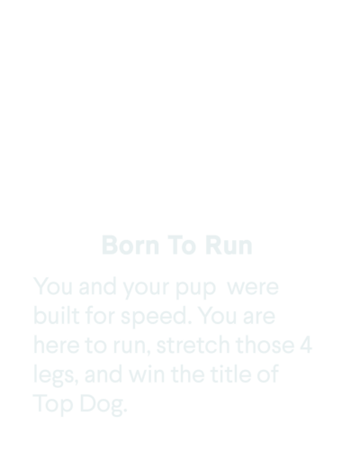 Dog Job Landing Page_Born To Run