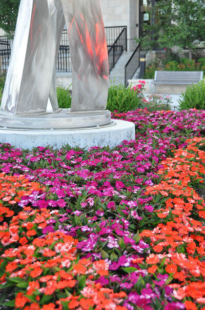 Commercial landscape company project in Kansas City: seasonal colors